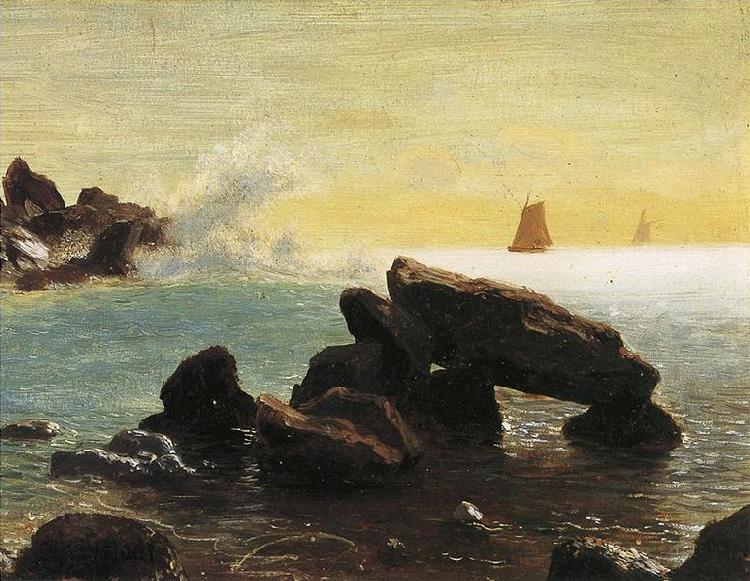Albert Bierstadt Farallon Islands, off San Francisco in the Pacific, Northern California oil painting picture